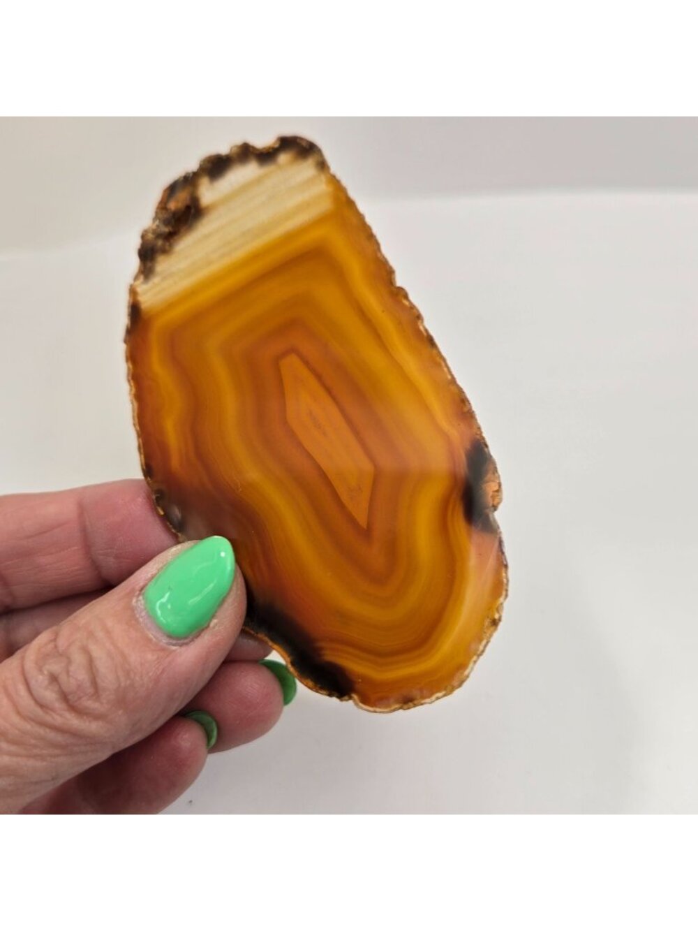 Natural Raw Edge Golden Laguna Banded Agate Slice